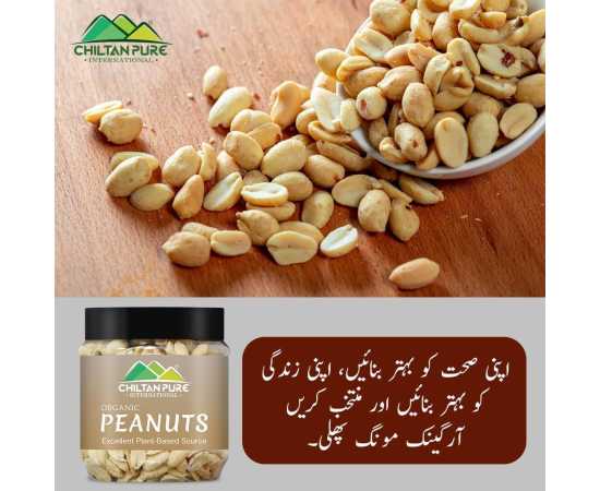 Chiltan Pure Peanuts Nuts Jar - 160G