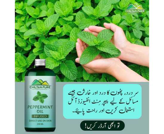 Peppermint Oil - Controls Excess Oil On The Skin