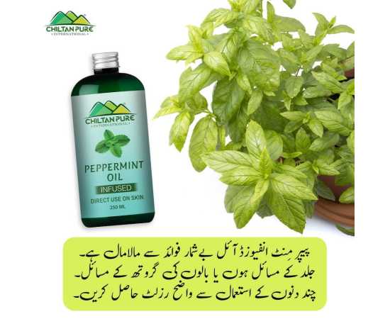 Peppermint Oil - Controls Excess Oil On The Skin