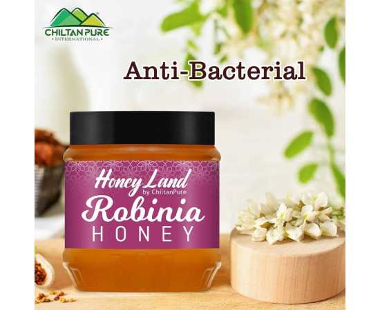 Robinia Honey - 450 Gram