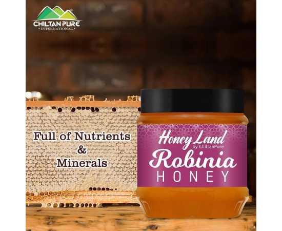 Robinia Honey - 450 Gram