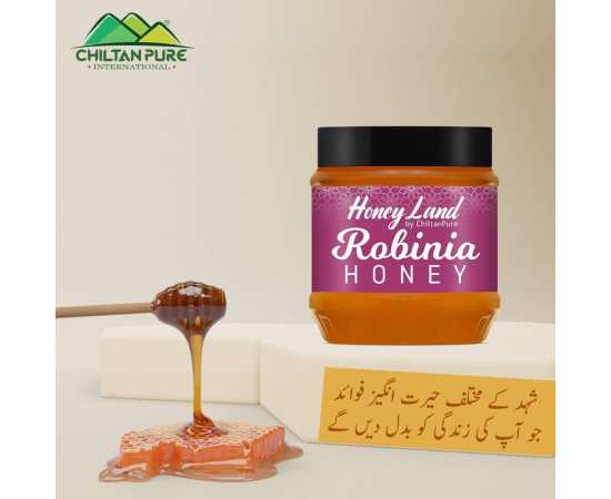 Robinia Honey - 450 Gram
