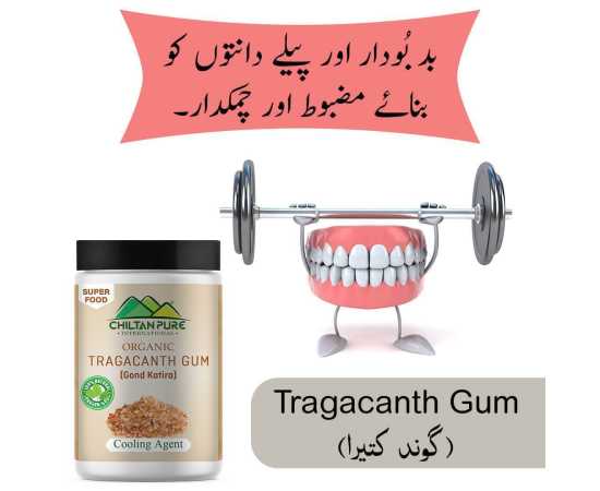 Chiltan Pure Tragacanth Gum - Improves Immune System & Boost Energy