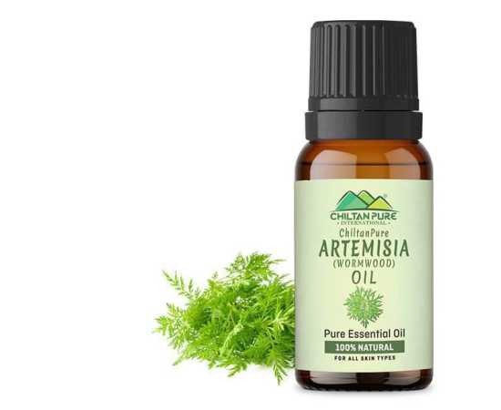 Artemisia Wormwood Essential Oil - Relieves Nervous Afflictions - 20M