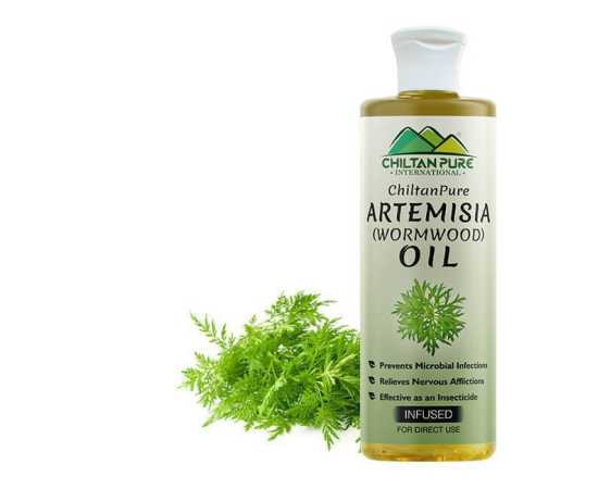 Artemisia Wormwood Infused Oil - Relieves Nervous Afflictions - 200ML