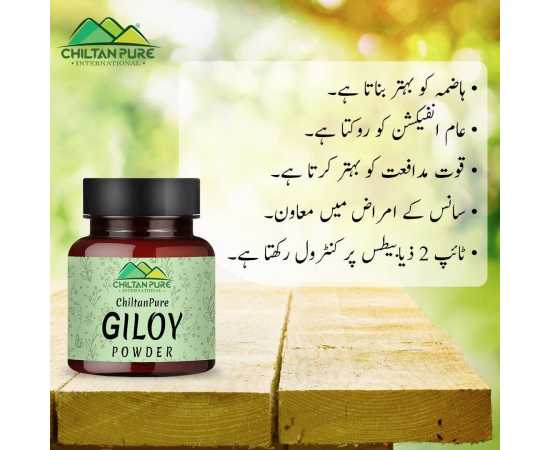 Giloy Powder - Improves Digestive Health - 90G