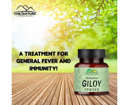 Giloy Powder - Improves Digestive Health - 90G