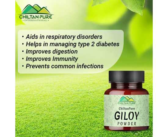 Giloy Powder - Improves Digestive Health - 90G