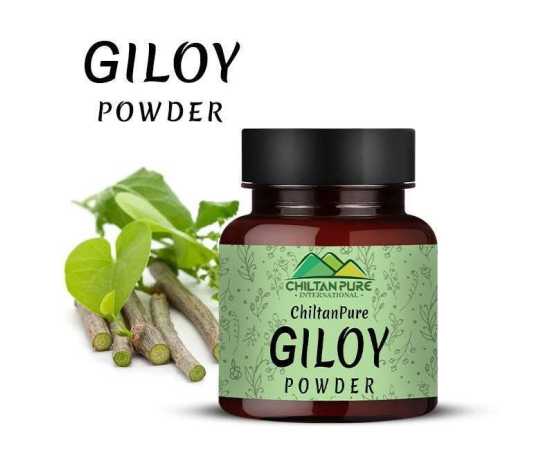Giloy Powder - Improves Digestive Health - 90G