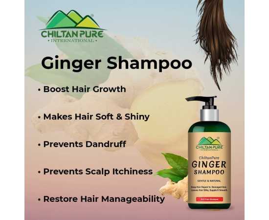 Ginger Shampoo - Reduce Hair Loss- 250ML