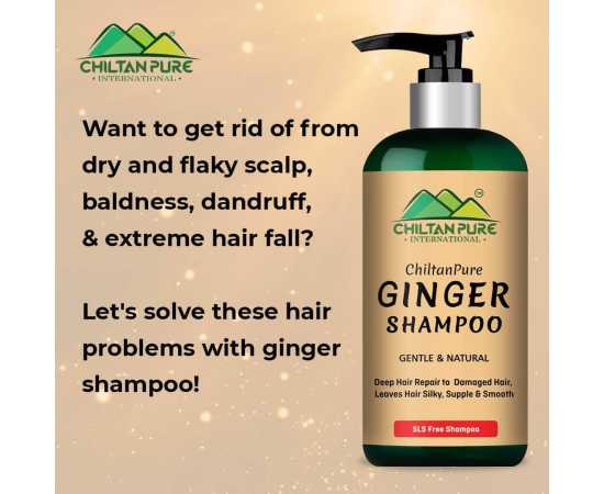 Ginger Shampoo - Reduce Hair Loss- 250ML
