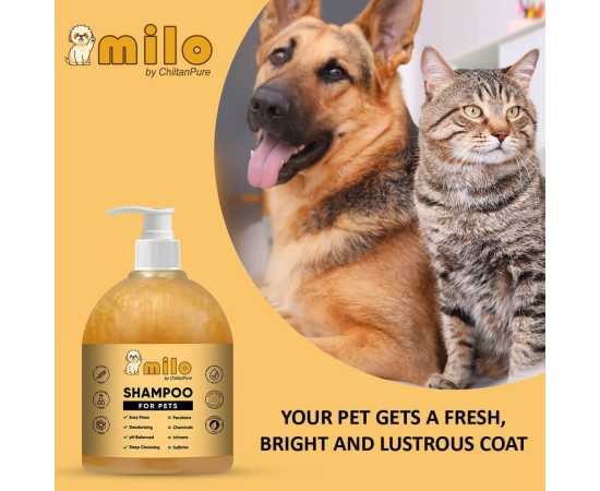 Milo Pet Shampoo- Anti-Dandruff & Gently Cleanse Hair- 500ML