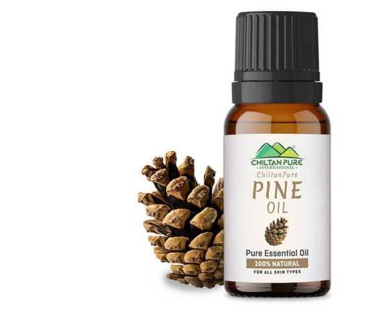 Pine Essential Oil - Memory Booster & Powerful Antioxidant