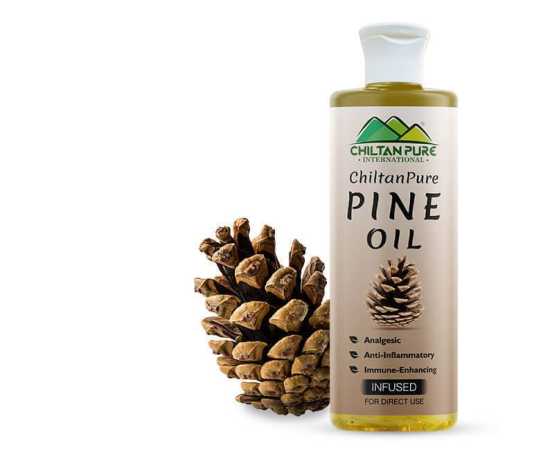 Pine Infused Oil - For Immune-Enhancing