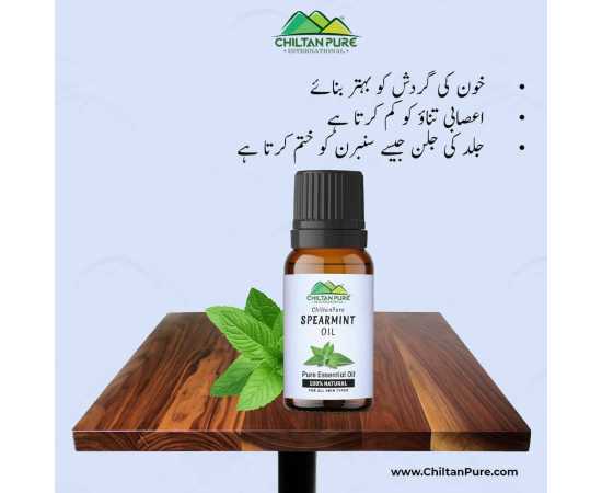 Spearmint Essential Oil  - Stimulates Brain Function