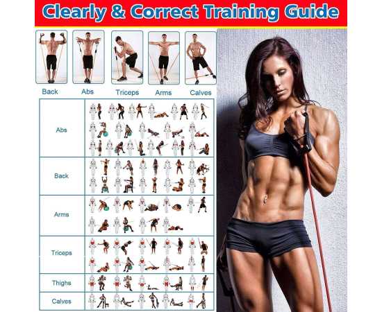 Portable Resistance Exercise Workout Bands For Body Fitness - 11 Pcs Set