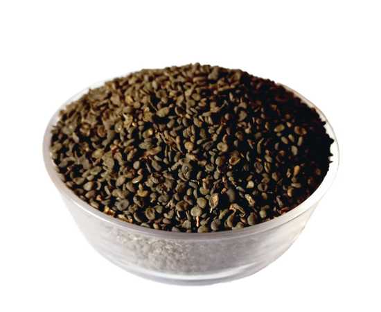 Babchi Fresh Bakuchi Seeds Corylifolia by Sabir Sons