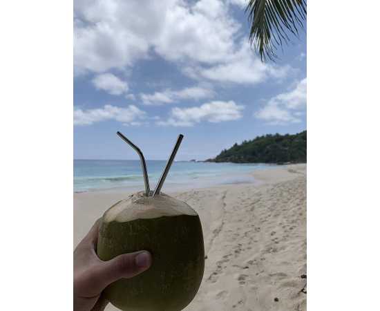 Straight Reusable Drinking Straws For Milkshake Drinks - Pack Of 5