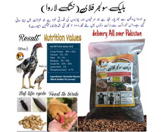 Black Soldier Flies Dried Larvae (500 Grams)