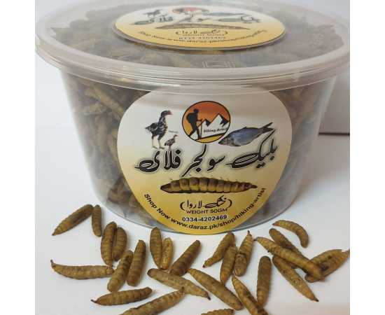 Black Soldier Flies Dried Larvae (50 Grams) {Bsfl}