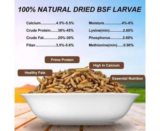 Black Soldier Flies Dried Larvae (500 Grams)