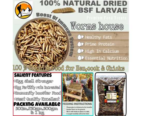 Black Soldier Flies Dried Larvae (50 Grams) {Bsfl}