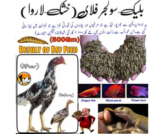 Black Soldier Flies Dried Larvae (500 Grams)