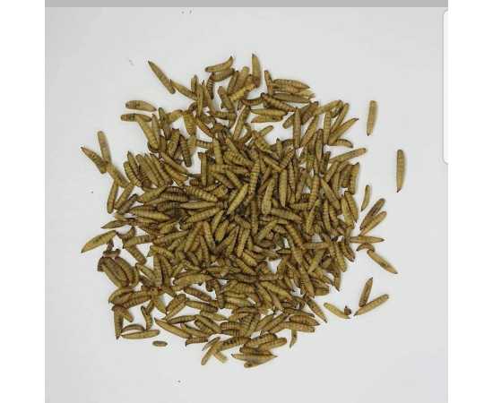 Black Soldier Flies Dried Larvae (500 Grams)