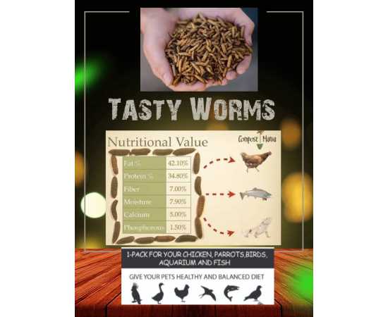 Black Soldier Flies Dried Larvae (50 Grams) {Bsfl}