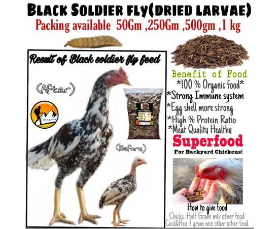 Black Soldier Flies Dried Larvae (50 Grams) {Bsfl}