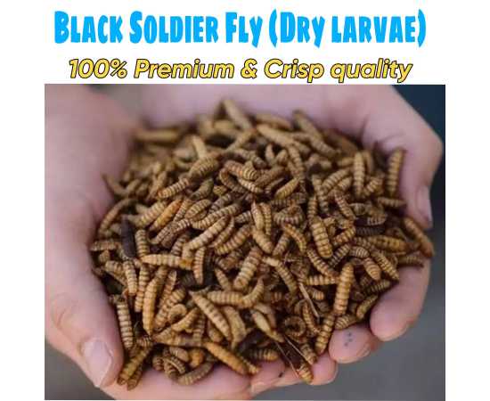 Black Soldier Flies Dried Larvae (500 Grams)