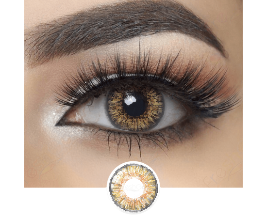 Eye Contact Lens With Container + free water kit