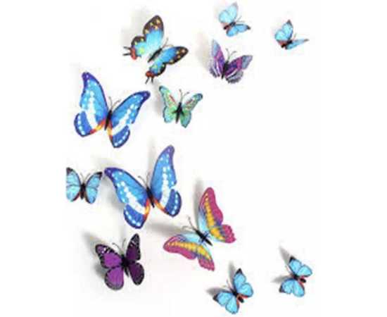 Pack of 12- 3D PVC Butterfly Wall Stickers Decoration