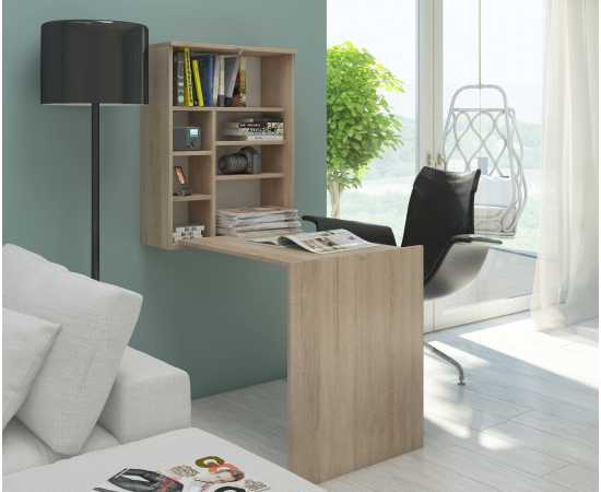Toheed Wood Folding Wall Mounted Storage Desk