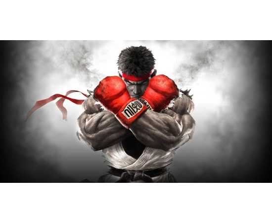 Street Fighter V PlayStation 4 Game DVD