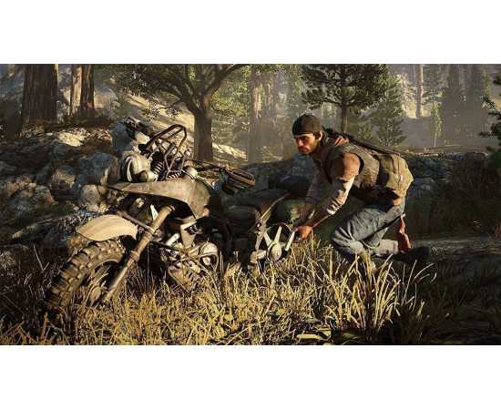 Days Gone PlayStation 4 Game DVD