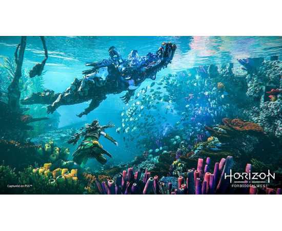 Horizon Forbidden West PlayStation 5 Game DVD