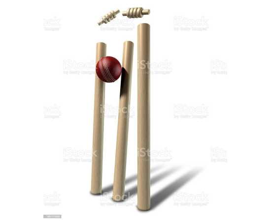 Wooden Cricket Wickets With Stumps - Set of 3