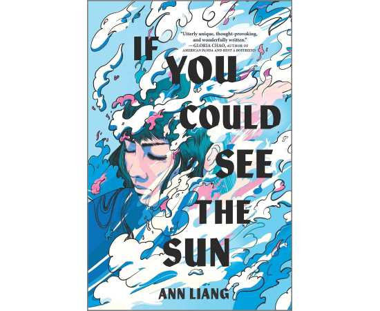 If You Could See the Sun - Novel By Ann Liang