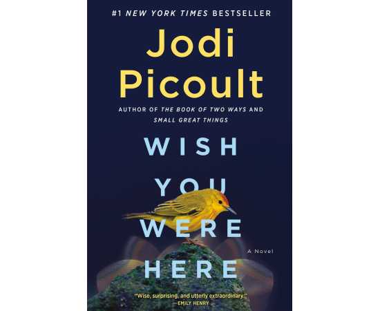 Wish You Were Here - Novel By Jodi Picoult