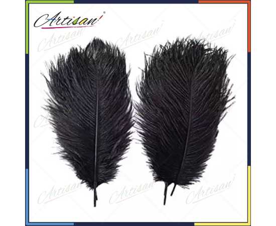 Artisan Pack Of 2 Black Ostrich Feathers