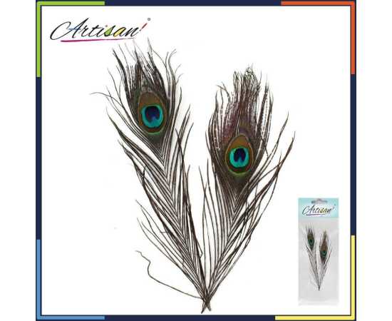 Artisan -  2 pcs Peacock Feather Tail Eye Natural