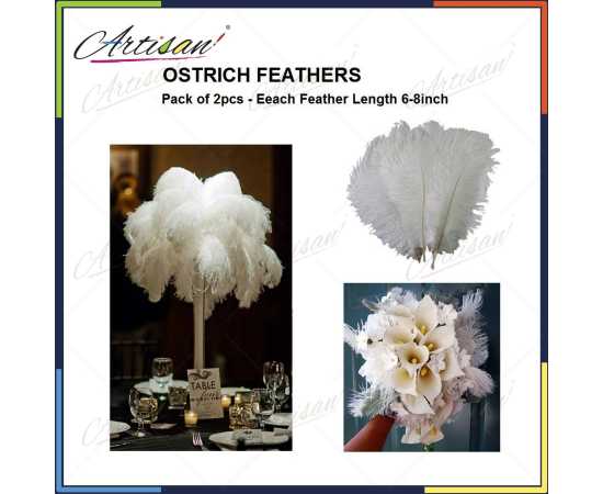 Artisan White Ostrich Feathers - Pack of 2