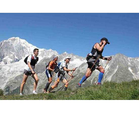 Trekking Pole Hiking Stick with Handle