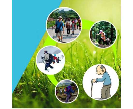 Trekking Pole Hiking Stick with Handle