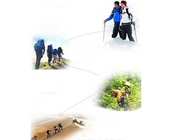 Trekking Pole Hiking Stick with Handle