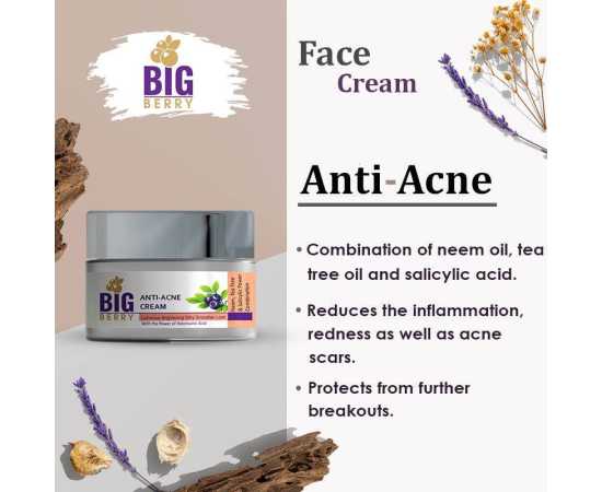 Big Berry Anti-Acne Proactive Cream