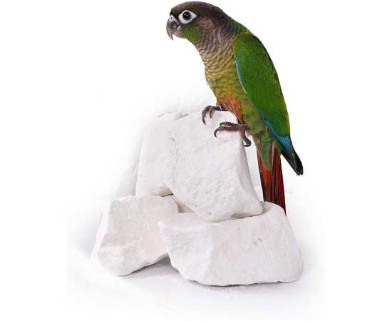 10 Pcs Star Calcium Chalk, Fast Breading Formula