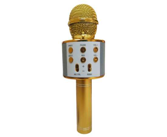 Wireless Karaoke Microphone For Kids