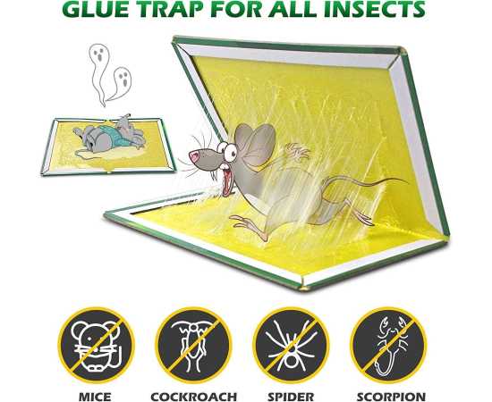 Large Mouse Rat Glue Trap Rat Book with FREE Gloves